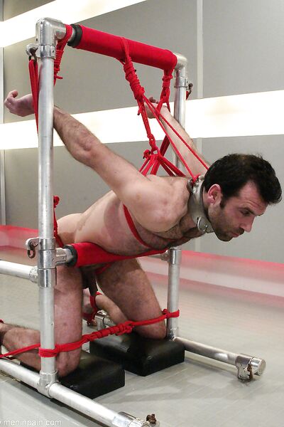 Красивые голые девушки